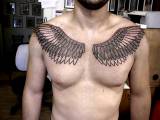 tetování křídla na hrudnik